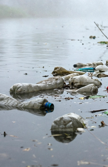 polluted water image